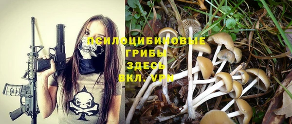 гашиш Богданович