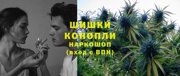 гашиш Богданович