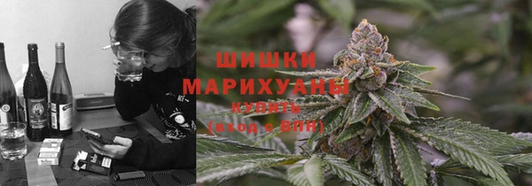 гашиш Богданович